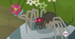 Size: 1438x762 | Tagged: safe, screencap, spider, maud pie (episode), fuzzy legs, hub logo, meme, vulgar, youtube caption