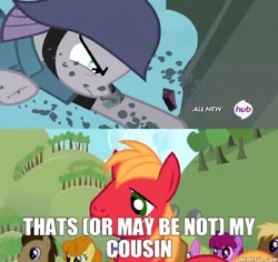 Size: 700x662 | Tagged: safe, edit, edited screencap, screencap, berry punch, berryshine, big macintosh, carrot top, coco crusoe, daisy, doctor whooves, flower wishes, golden harvest, maud pie, sea swirl, seafoam, earth pony, pony, maud pie (episode), pinkie apple pie, image macro, male, meme, stallion, that's my x