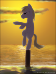 Size: 1200x1600 | Tagged: safe, artist:stinkehund, derpibooru import, oc, oc only, earth pony, pony, beach, blank flank, fluffy, male, solo, sunset