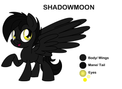 Size: 3507x2550 | Tagged: safe, artist:pananovich, oc, oc only, oc:shadowmoon, pegasus, pony, male, smiling, solo, stallion