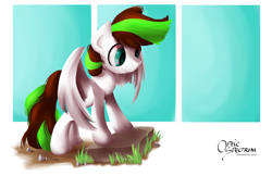 Size: 2550x1650 | Tagged: safe, artist:opticspectrum, derpibooru import, oc, oc only, oc:paint splatter, solo