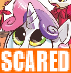 Size: 272x280 | Tagged: safe, idw, apple bloom, scootaloo, sweetie belle, cutie mark crusaders, expand dong, exploitable meme, looking up, meme, reaction image, scared, why.jpg