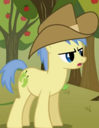 Size: 361x468 | Tagged: safe, derpibooru import, screencap, goldengrape, sir colton vines iii, earth pony, pony, over a barrel, animation error, background pony, cropped, male, solo, stallion