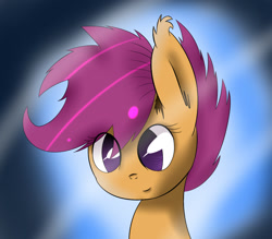 Size: 1236x1081 | Tagged: safe, artist:v0calp0ny, scootaloo, pegasus, pony, female, filly, gradient background, solo