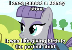 Size: 890x624 | Tagged: safe, edit, edited screencap, screencap, maud pie, maud pie (episode), birth, image macro, kidney stone, meme, offspring, perfection, pun, rock, rock pun, solo, stone, that pony sure does love rocks