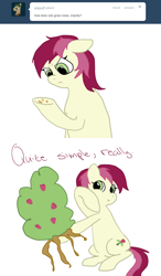 Size: 750x1280 | Tagged: safe, roseluck, ask, comic, rosereplies, solo, tumblr