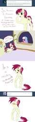 Size: 750x2560 | Tagged: safe, aloe, roseluck, ask, comic, rosereplies, tumblr