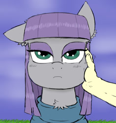 Size: 850x900 | Tagged: safe, artist:ichibangravity, maud pie, human, hand, petting