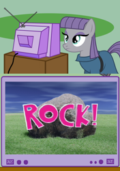 Size: 506x720 | Tagged: safe, maud pie, exploitable meme, irl, meme, obligatory pony, photo, rock, spongebob squarepants, the spongebob squarepants movie, tv meme