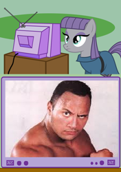 Size: 506x720 | Tagged: safe, maud pie, dwayne johnson, exploitable meme, meme, obligatory pony, pun, raised eyebrow, rock, the rock, tv meme