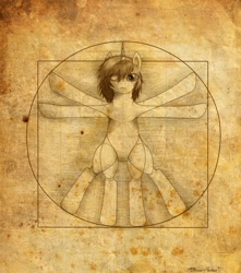 Size: 772x874 | Tagged: safe, artist:agenttasmania, anatomy, fine art parody, solo, vitruvian man, vitruvian pony