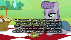 Size: 1088x612 | Tagged: safe, screencap, boulder (pet), maud pie, maud pie (episode), headcanon, image macro, insane fan theory, meme, solo