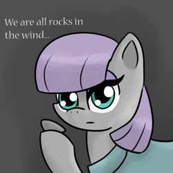 Size: 2000x2000 | Tagged: safe, artist:blueyedred, boulder (pet), maud pie, earth pony, pony, maud pie (episode), solo