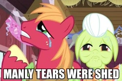 Size: 480x320 | Tagged: safe, edit, edited screencap, screencap, big macintosh, granny smith, earth pony, pony, the last roundup, caption, crying, male, manly tears, meme, stallion