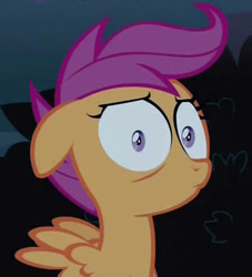 Size: 369x407 | Tagged: safe, screencap, scootaloo, pegasus, pony, female, filly, floppy ears, reaction image, shrunken pupils, solo, wat, what has been seen