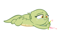 Size: 807x434 | Tagged: safe, artist:queencold, oc, oc only, oc:jade, dragon, baby dragon, crying, dragoness, flower, petals, simple background, solo, transparent background