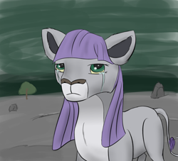 Size: 2200x2000 | Tagged: safe, artist:kopaleo, derpibooru import, maud pie, big cat, lion, crying, female, frown, lioness, lionified, looking at you, sad, solo, species swap