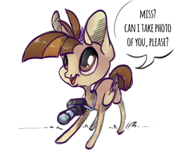 Size: 3000x2600 | Tagged: safe, artist:casynuf, derpibooru import, featherweight, pegasus, pony, camera, dialogue, featherbetes, solo, speech bubble