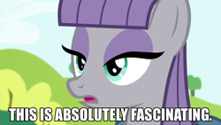 Size: 1280x720 | Tagged: safe, maud pie, werewolf, maud pie (episode), fascinating, image macro, meme, reaction image, solo