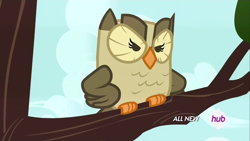 Size: 1920x1080 | Tagged: safe, screencap, owlowiscious, bird, owl, inspiration manifestation, angry, hub logo, sitting in a tree, solo, tree branch