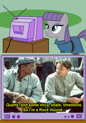 Size: 506x720 | Tagged: safe, maud pie, maud pie (episode), exploitable meme, image macro, meme, morgan freeman, obligatory pony, the shawshank redemption, tv meme