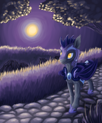 Size: 2557x3077 | Tagged: safe, artist:wolframclaws, moon, night, night guard, royal guard, solo