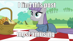 Size: 1680x948 | Tagged: safe, edit, edited screencap, screencap, maud pie, maud pie (episode), caption, image macro, meme, reaction image, solo