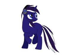 Size: 4288x3216 | Tagged: safe, artist:bronystormchasers, oc, oc only, oc:starry night, solo