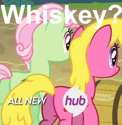 Size: 520x534 | Tagged: safe, screencap, pony, filli vanilli, female, hub logo, hubble, mare, plot, whiskey