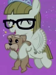 Size: 305x406 | Tagged: safe, screencap, ripley, zippoorwhill, dog, pegasus, pony, filli vanilli, carrying, circling stars, cute, derp, dizzy, eyes closed, filly, flapping, flying, glasses, happy, hug, open mouth, smiling, zippoorbetes