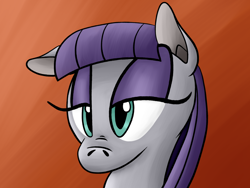 Size: 1600x1200 | Tagged: safe, artist:nocturnalmeteor, maud pie, earth pony, pony, maud pie (episode), female, gray coat, mare, solo