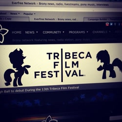 Size: 640x640 | Tagged: safe, a brony tale, computer, everfree network, irl, mac os x, photo, ponified, safari, silhouette, text, tribeca film festival