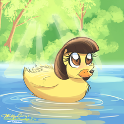 Size: 1280x1280 | Tagged: safe, artist:willisninety-six, derpibooru import, wild fire, duck, blushing, cute, fluffy, sibsy, sibsy is a duck, smiling, solo, species swap, water