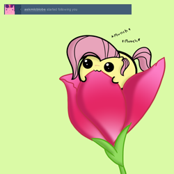 Size: 1280x1280 | Tagged: safe, artist:squiby-327, derpibooru import, posey, g1, :3, ask, ask posey, chubbie, cute, eating, flower, nom, smiling, solo, tumblr