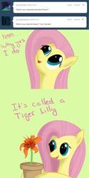 Size: 1280x2560 | Tagged: safe, artist:squiby-327, derpibooru import, posey, g1, ask, ask posey, flower, solo, tumblr