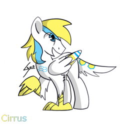 Size: 800x800 | Tagged: safe, artist:cuberro, derpibooru import, oc, oc only, oc:cirrus sky, hippogriff, hybrid, 2013, solo, talons