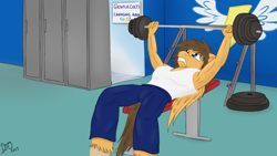 Size: 1024x576 | Tagged: safe, artist:djose-ohara, derpibooru import, oc, oc only, oc:firenze, anthro, pegasus, muscles, wonderbolts, workout