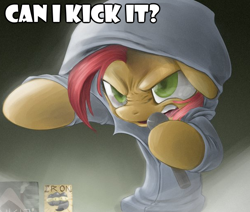 Size: 612x520 | Tagged: safe, babs seed, earth pony, pony, a tribe called quest, babs the rapper, clothes, exploitable meme, female, filly, hoodie, image macro, meme, nose wrinkle, solo