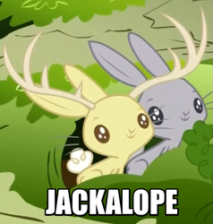 Size: 657x691 | Tagged: safe, screencap, rabbit, filli vanilli, animal, burrow, carrot, duo, image macro, jackalope, meme