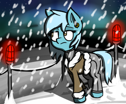 Size: 1920x1590 | Tagged: safe, artist:coatieyay, oc, oc only, oc:winter gear, aurora borealis, earring, freckles, hoofprints, night, parka, piercing, snow, snowfall, solo