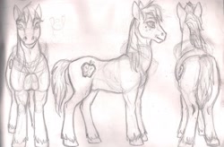 Size: 2227x1462 | Tagged: safe, artist:queensmate, big macintosh, earth pony, pony, male, monochrome, solo, stallion, traditional art