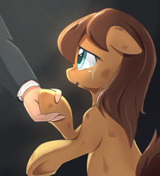 Size: 676x740 | Tagged: artist needed, safe, derpibooru import, oc, oc only, oc:anon, oc:morning glory, oc:rentalove, earth pony, human, pony, /mlp/, clothes, crying, dirty, female, holding hooves, human on pony hoof holding, mare, offscreen character, open mouth, outstretched hand, underhoof