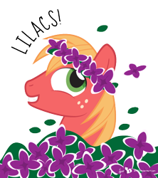 Size: 480x540 | Tagged: safe, artist:dm29, derpibooru import, big macintosh, earth pony, pony, floral head wreath, flower, lilacs, male, simple background, solo, stallion, transparent background