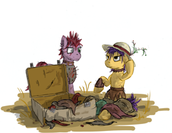 Size: 1224x947 | Tagged: safe, artist:eriada, derpibooru import, oc, oc only, fallout equestria, clothes, hat, raider