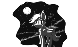 Size: 1280x777 | Tagged: safe, artist:swiftsketchpone, oc, oc only, bat pony, pony, monochrome, moon, solo