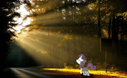 Size: 2013x1228 | Tagged: safe, artist:digitalpheonix, artist:muffinname, derpibooru import, sweetie belle, forest, irl, photo, ponies in real life, road, sign, solo, vector