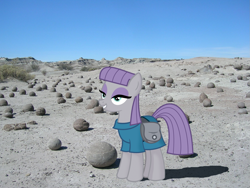 Size: 2133x1600 | Tagged: safe, artist:valoranvectors, derpibooru import, maud pie, earth pony, pony, argentina, female, grin, irl, ischigualasto provincial park, mare, photo, ponies in real life, rock, san juan province, smiling, solo, that pony sure does love rocks, valle de la luna, when she smiles