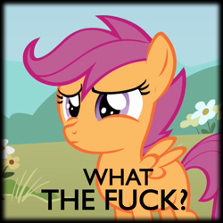 Size: 544x543 | Tagged: safe, derpibooru import, screencap, scootaloo, the show stoppers, image macro, meme, solo, vulgar