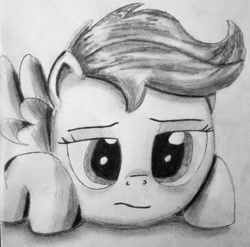 Size: 1024x1012 | Tagged: safe, artist:a7xcaramel, derpibooru import, scootaloo, monochrome, solo, traditional art