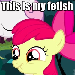 Size: 670x670 | Tagged: safe, apple bloom, fetish, image macro, meme, scrunchy face, that is my fetish